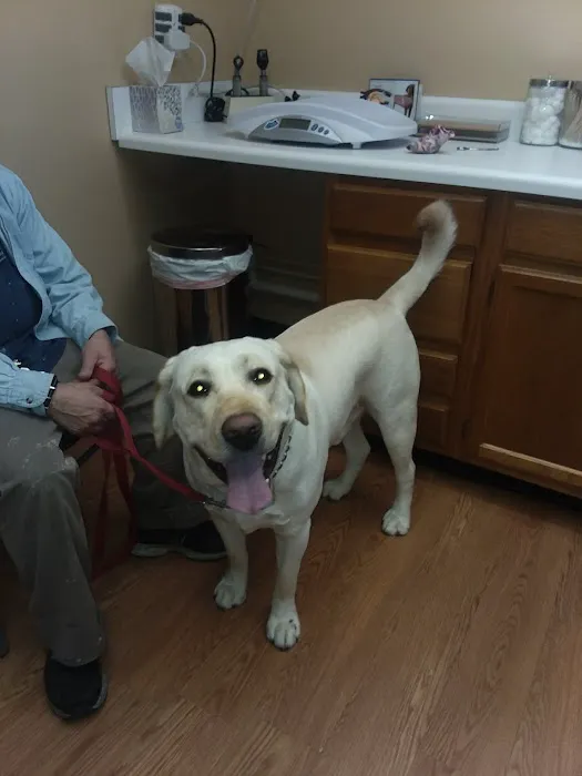 Justus Veterinary Clinic Picture 9