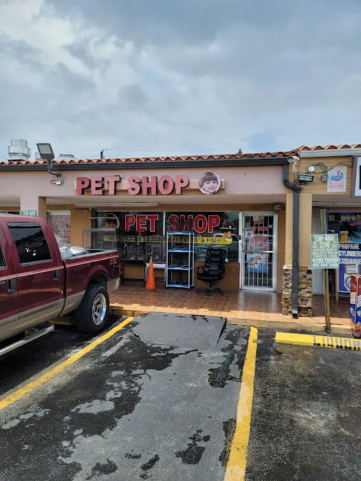 Pet Shop Picture 1