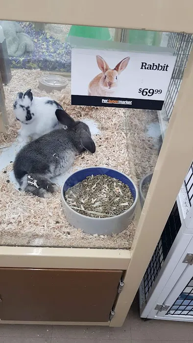Pet Supermarket Picture 1