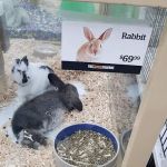 Pet Supermarket