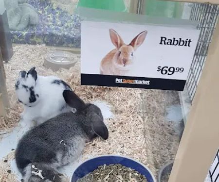 Pet Supermarket