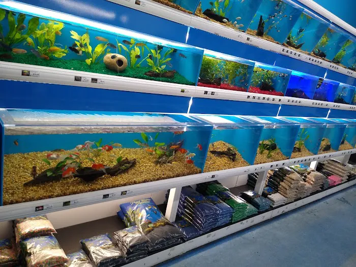 Pet Supermarket Picture 4
