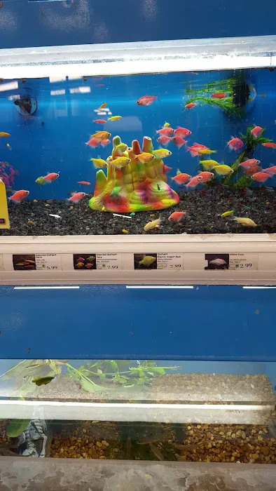 Pet Supermarket Picture 7