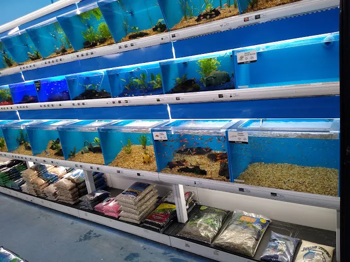 Pet Supermarket Picture 10