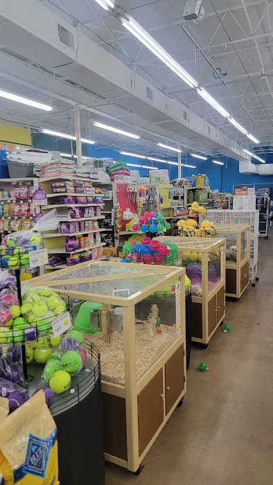 Pet Supermarket Picture 8