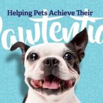Vethouse Pet Care