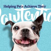 Vethouse Pet Care ico