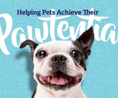 Vethouse Pet Care