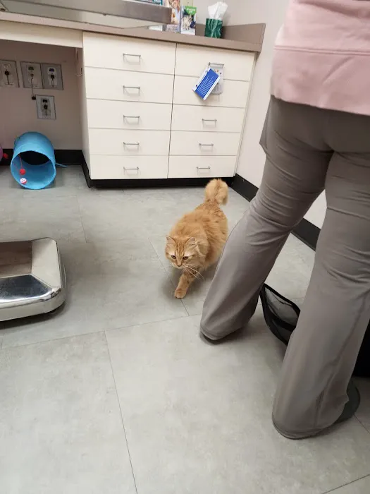 Vethouse Pet Care Picture 7