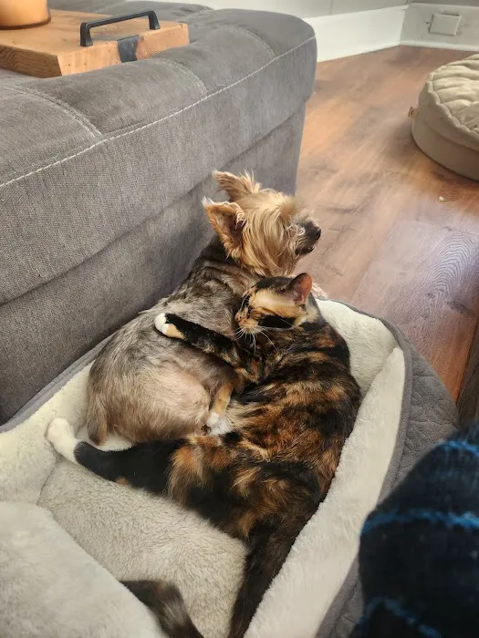 Vethouse Pet Care Picture 6