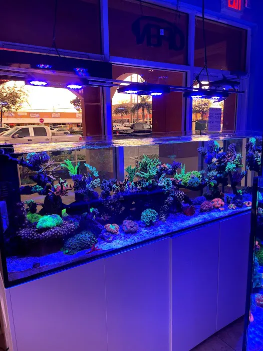 Frank Aquariums Picture 2