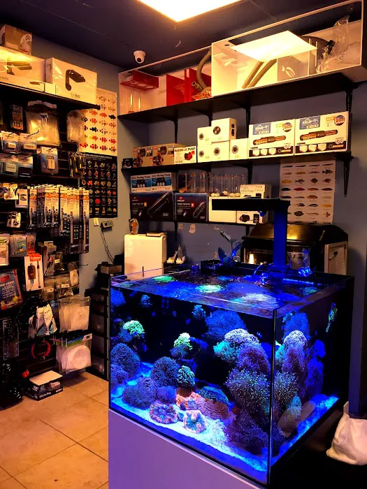 Frank Aquariums Picture 4