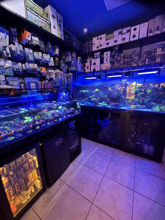 Frank Aquariums Picture 8