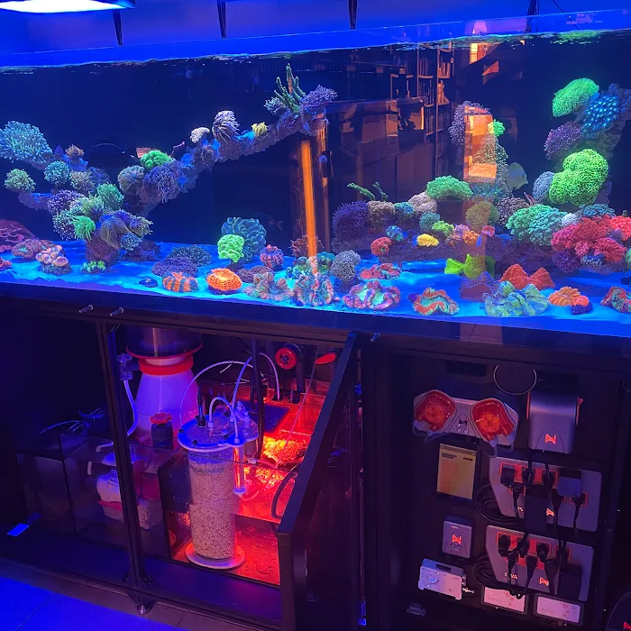 Frank Aquariums Picture 6