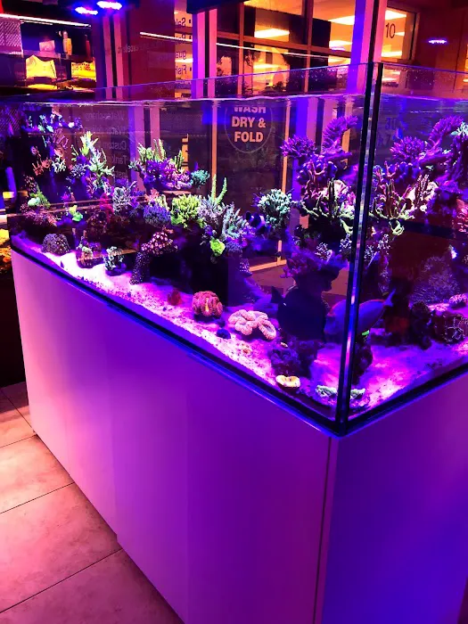 Frank Aquariums Picture 9