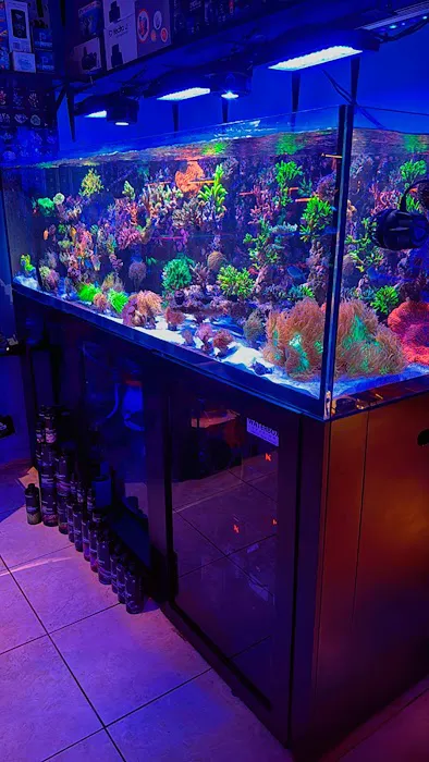 Frank Aquariums Picture 7