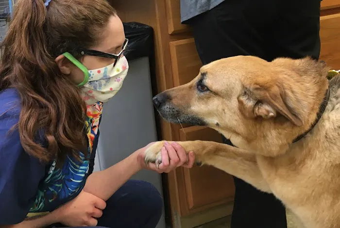Abington Veterinary Center Picture 4