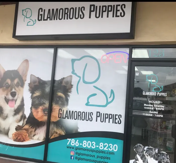 Glamorous Puppies Picture 2