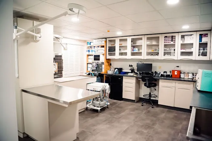 Narrowsburg Veterinary Picture 1