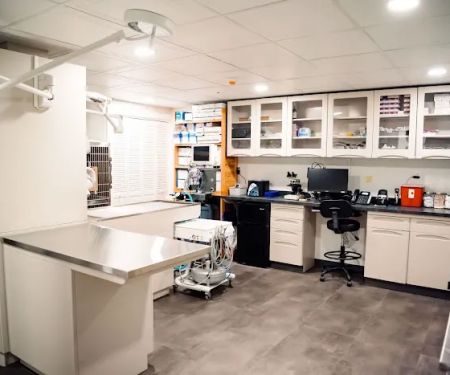 Narrowsburg Veterinary