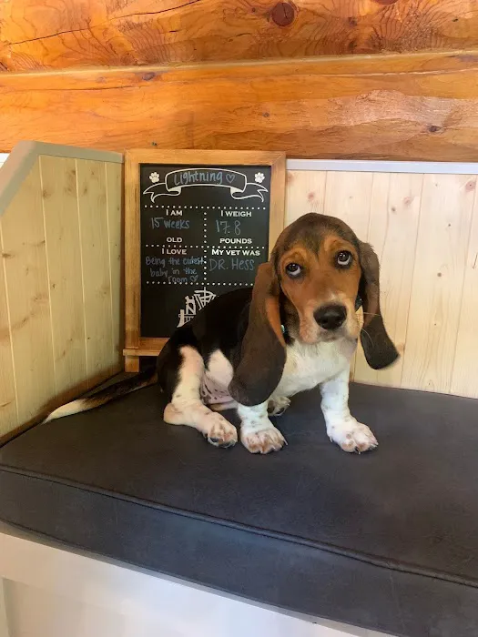 Narrowsburg Veterinary Picture 9