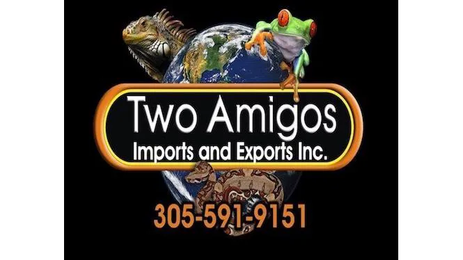 Two Amigos Imports & Exports, Inc. Picture 4