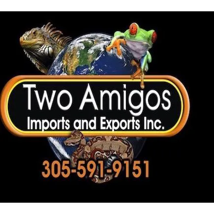 Two Amigos Imports & Exports, Inc. Picture 8
