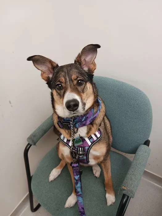 Finch Hill Veterinary Clinic Picture 1