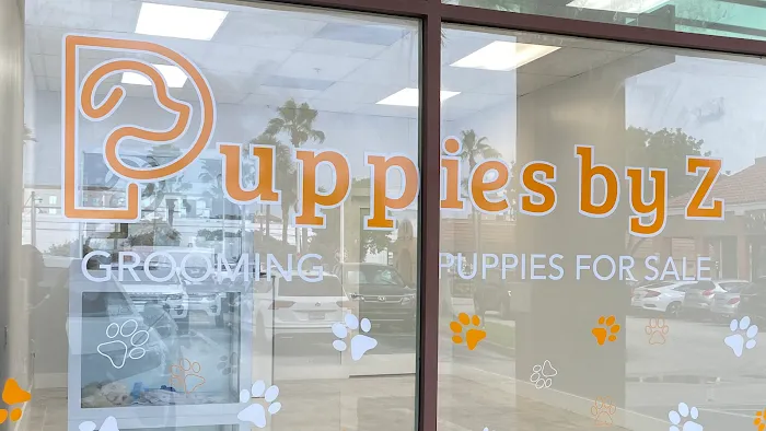 Puppies by Z. Picture 1