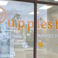 Puppies by Z. ico