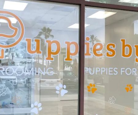 Puppies by Z.