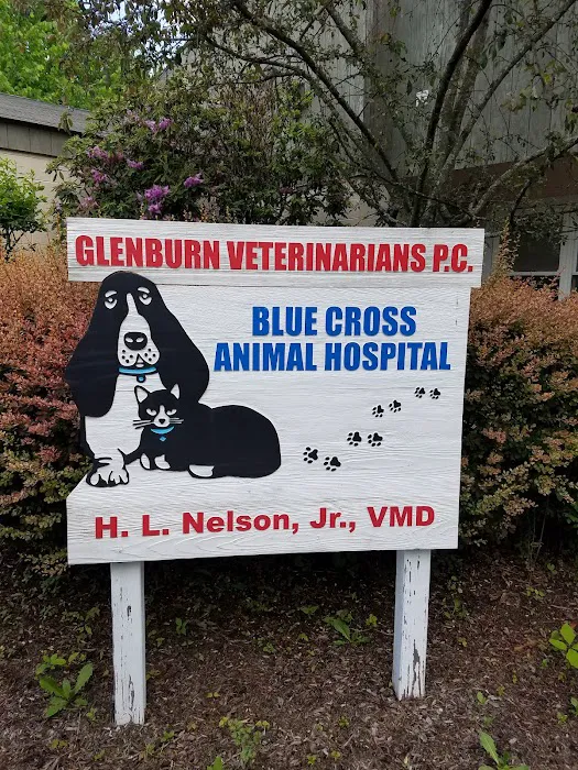 Glenburn Veterinarians, P.C. Picture 4