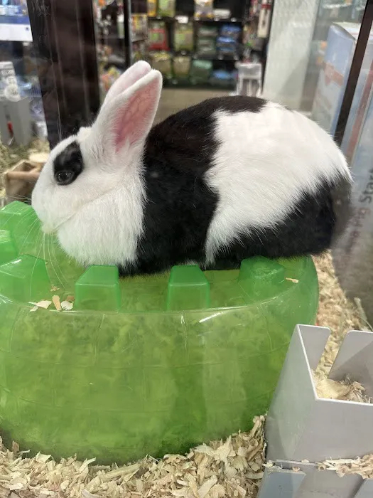 Pet Supermarket Picture 3