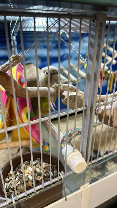 Pet Supermarket Picture 6