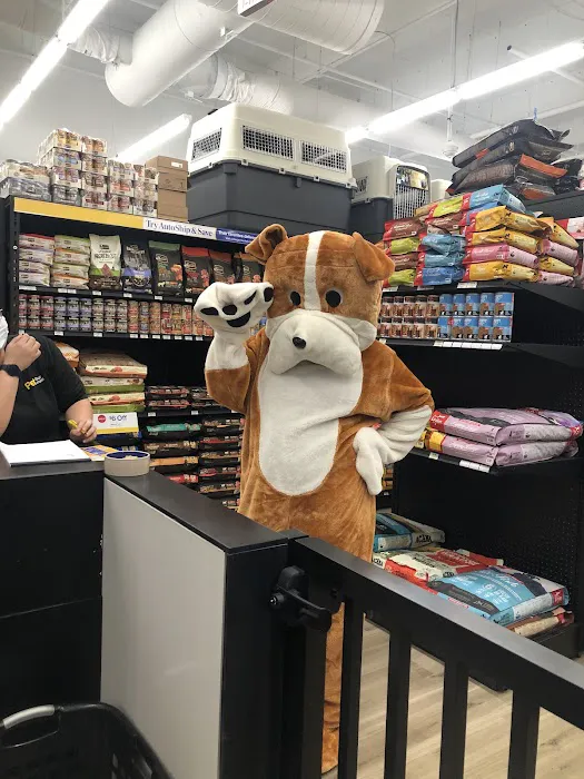Pet Supermarket Picture 4