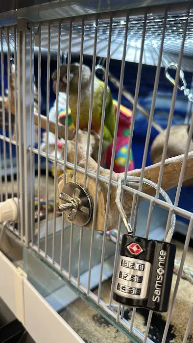 Pet Supermarket Picture 10