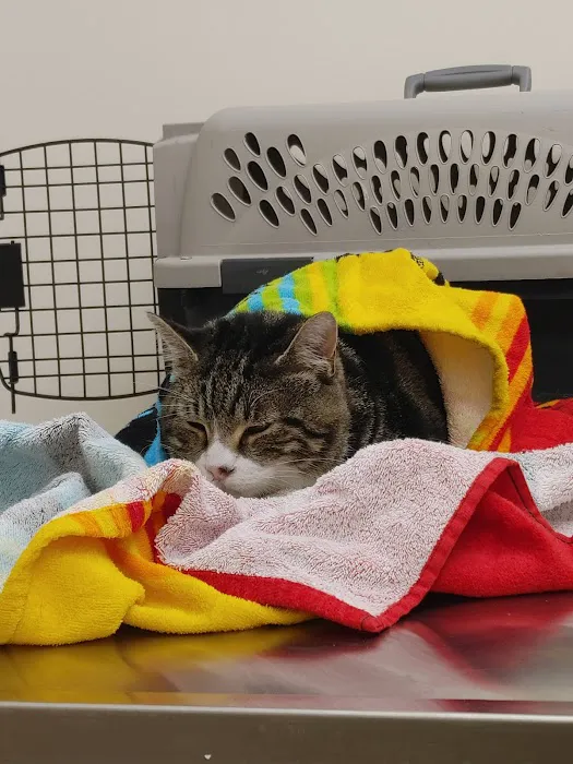 North Winds Veterinary Services Picture 1