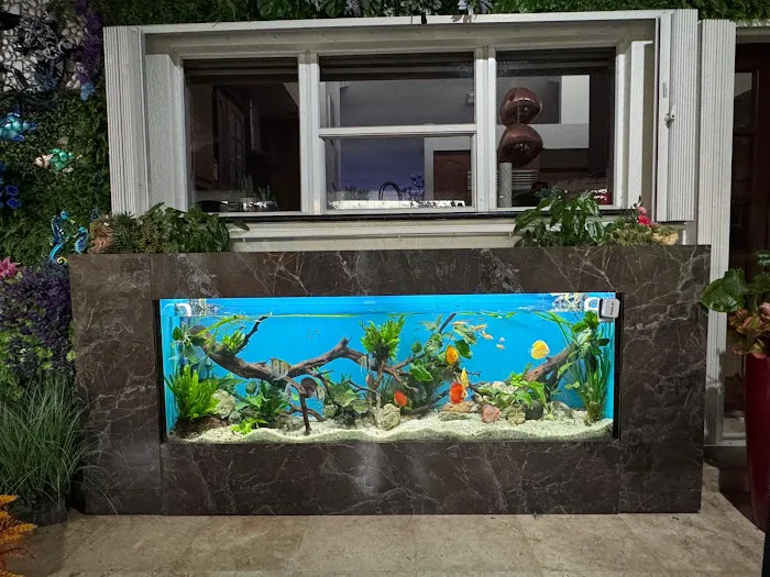 Aquarium Marketing Picture 1
