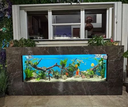 Aquarium Marketing