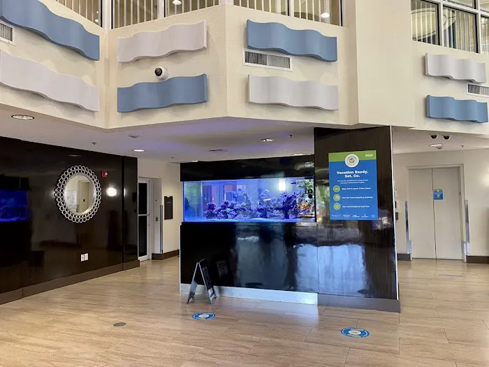 Aquarium Marketing Picture 3