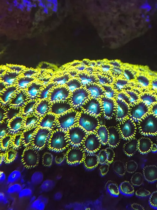 Aquarium Marketing Picture 6