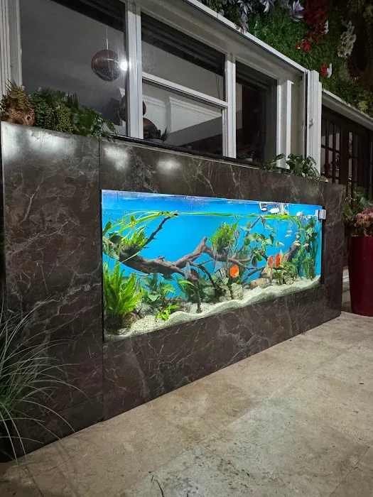 Aquarium Marketing Picture 8