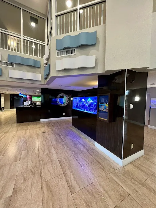 Aquarium Marketing Picture 10