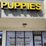Epic Puppies