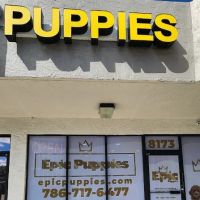 Epic Puppies ico