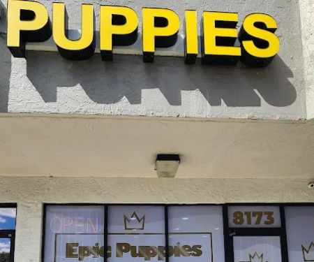 Epic Puppies