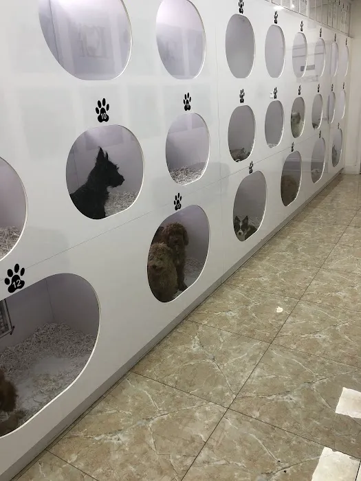 Epic Puppies Picture 5