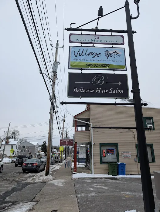 Village Vets Picture 4
