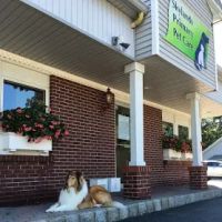 Skylands Primary Pet Care ico