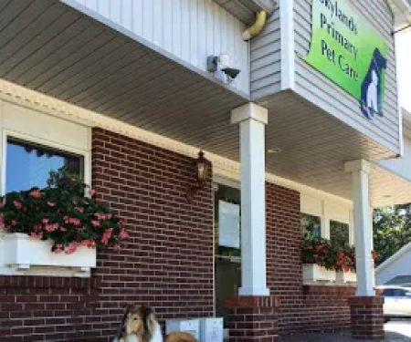Skylands Primary Pet Care